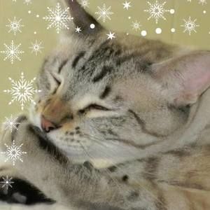 Meet your Posher, Charlotte